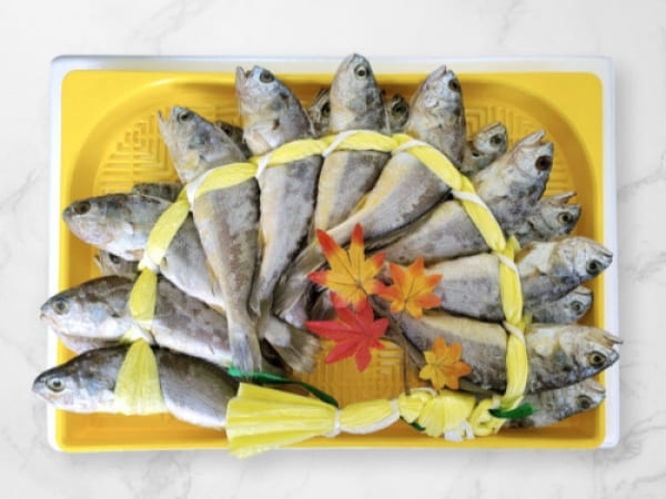 (그린영광굴비) 영광녹차굴비 장대5호(1.8kg 내외, 20미)