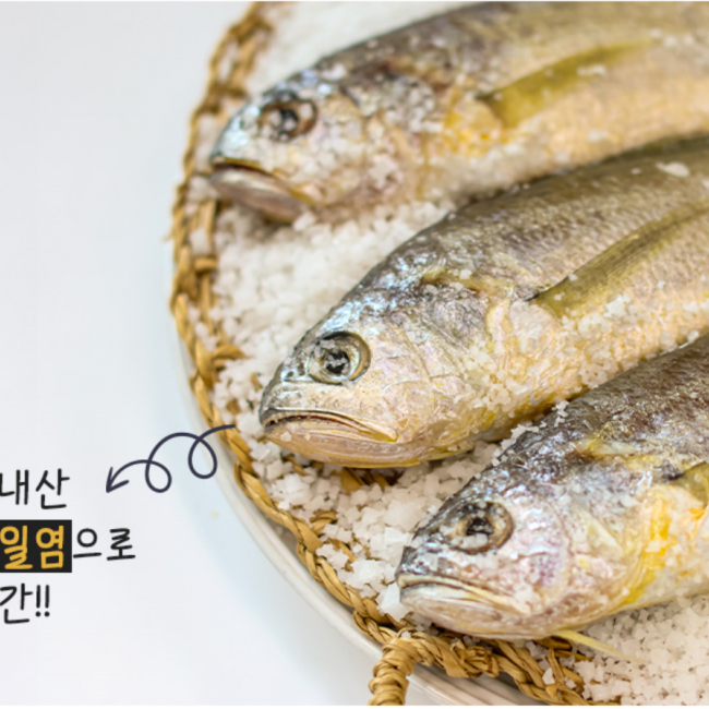(영광화성굴비) 영광 법성포 국내산  참조기 굴비  선물용굴비 4호~7호