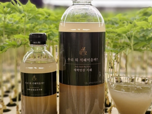 (이로운세상) 새싹인삼 수제 감주 전통 쌀 너무 달지않은 맛있는 식혜 
