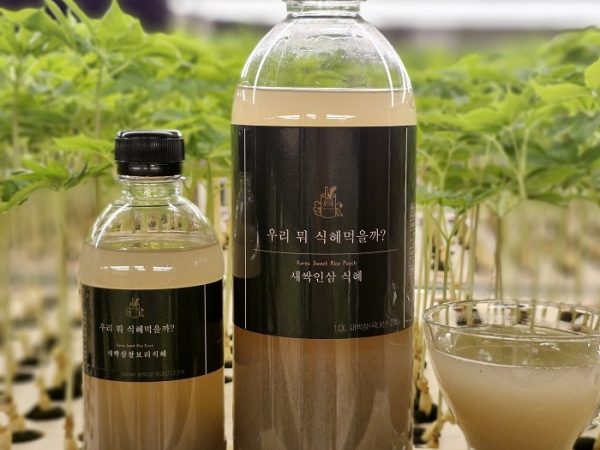 (이로운세상) 새싹인삼 수제 감주 전통 쌀 너무 달지않은 맛있는 식혜 