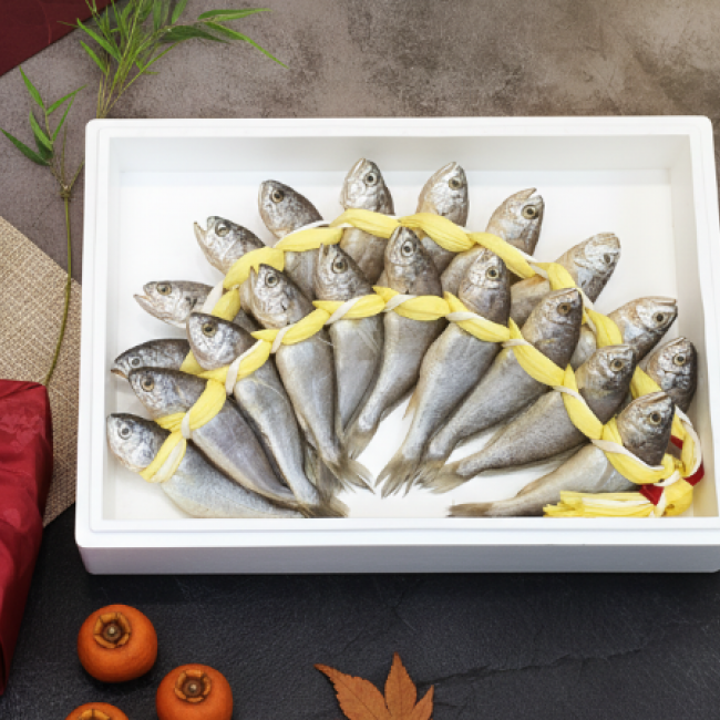 (하늘굴비) 법성포 영광굴비 장줄 3호 내외 전남 명절 선물세트 