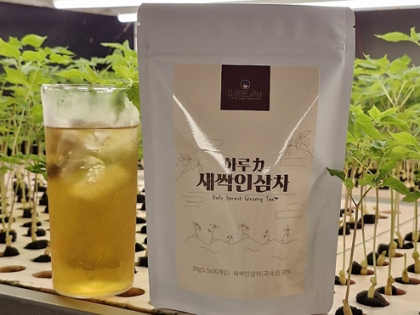 (이로운세상) 하루력  새싹 인삼차 티백차  