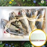  (해가찬굴비) 가정용 보리굴비(부세) 전제품 장보기(5미~10미 )