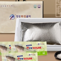 (영광화성굴비)영광굴비 법성포 찐부세보리굴비 1호 두절,내장제거(28~30cm)