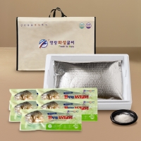 (영광화성굴비)추석맞이  찐부세보리굴비 5호~8호 30~32cm