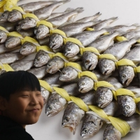  (주영광굴비) *가정의달+세일* 국내산 법성포 영광굴비 가정용 수협수매 선물 굴비세트 40미 20미