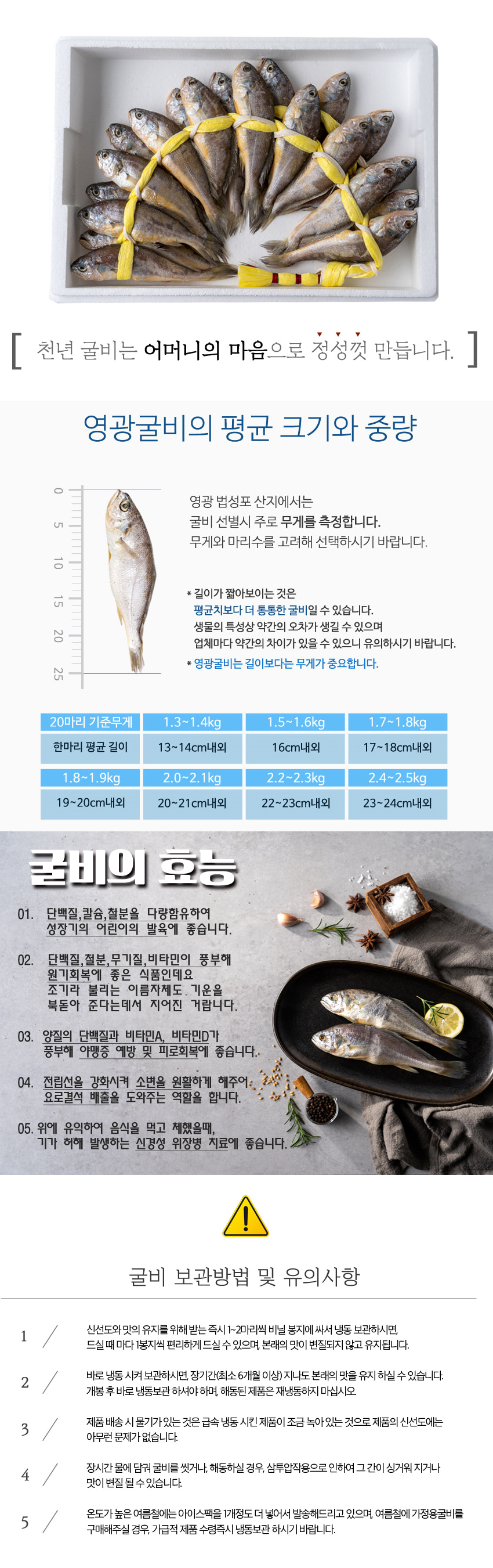 (천년굴비)  가정용 영광굴비 (3호) 20cm 내외 (20미) 1.8kg 이상