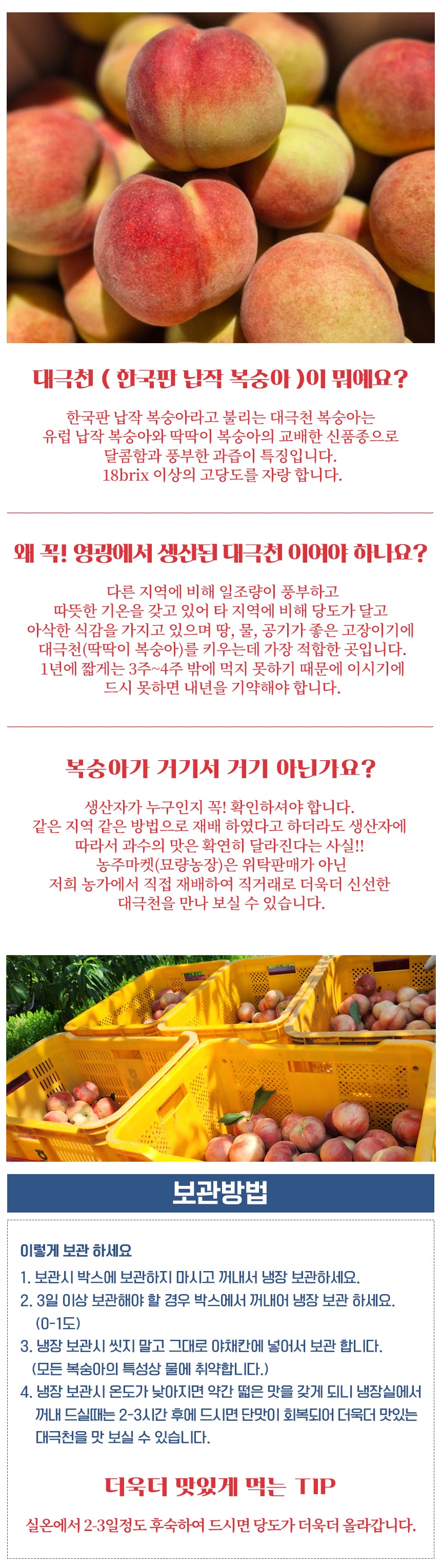 (농주마켓) 대극천 딱딱이 복숭아 1kg