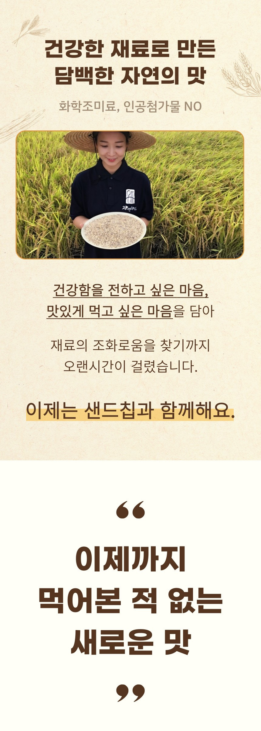 (지내들우리잡곡) 영광 검정보리 샌드칩 현미칩 12.5gx20봉 1box 250g