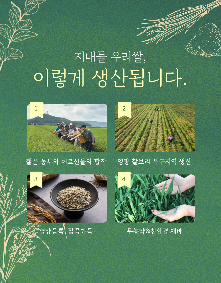 (지내들우리잡곡) 지내들 GIFT 1호- 건강잡곡 3종