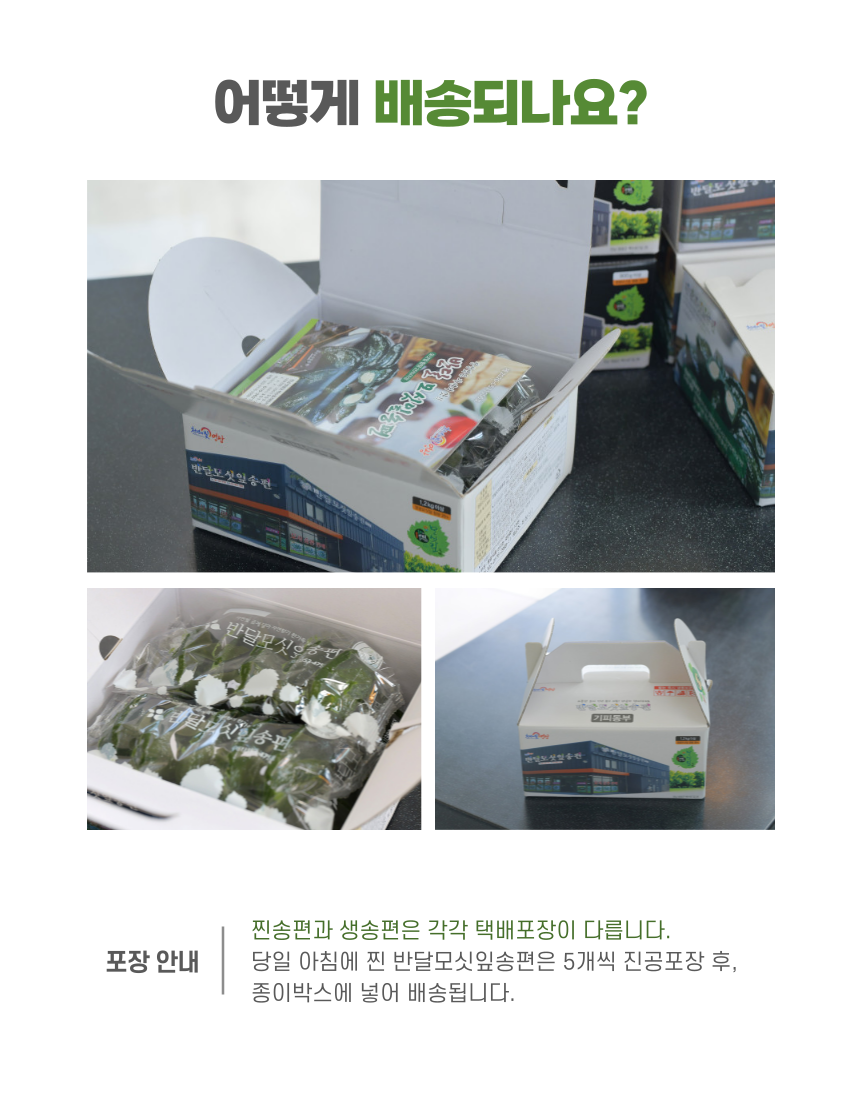 (반달모시송편) 영광 모시잎송편 모시개떡 모시떡 1kg 20개