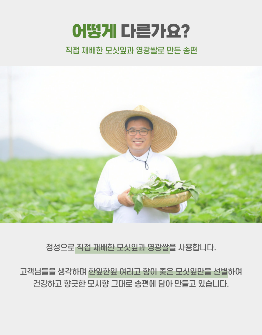 (반달모시송편) 영광 모시잎송편 모시개떡 모시떡 1kg 20개