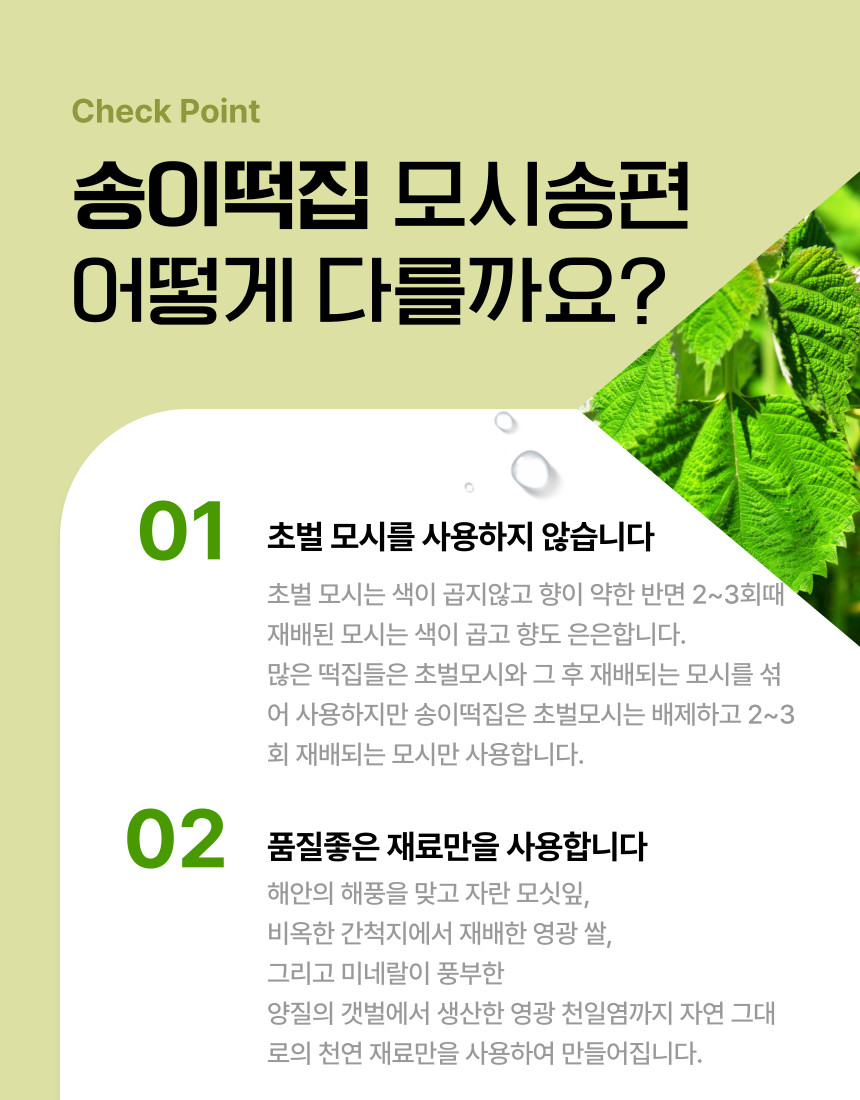 (송이떡집) 영광 송이떡집 모시 모싯잎 송편(48개 선물세트)