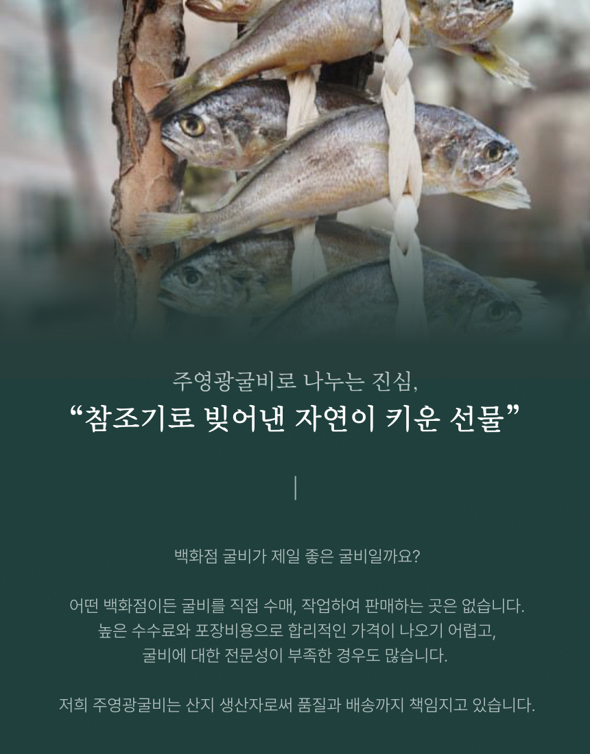 (주영광굴비) 국내산 프리미엄 법성포 영광굴비 명품 굴비선물세트 백화점 퀄리티 1.6kg 10미