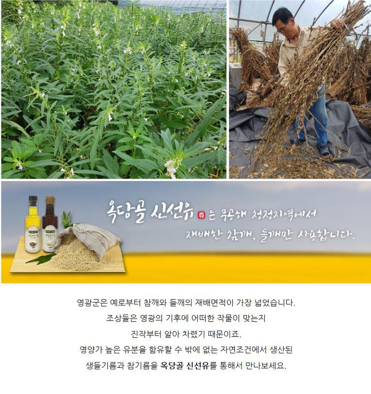 (옥당골신선유)저온착유 국내산 전통 참기름/생들기름 (180ml/300ml)