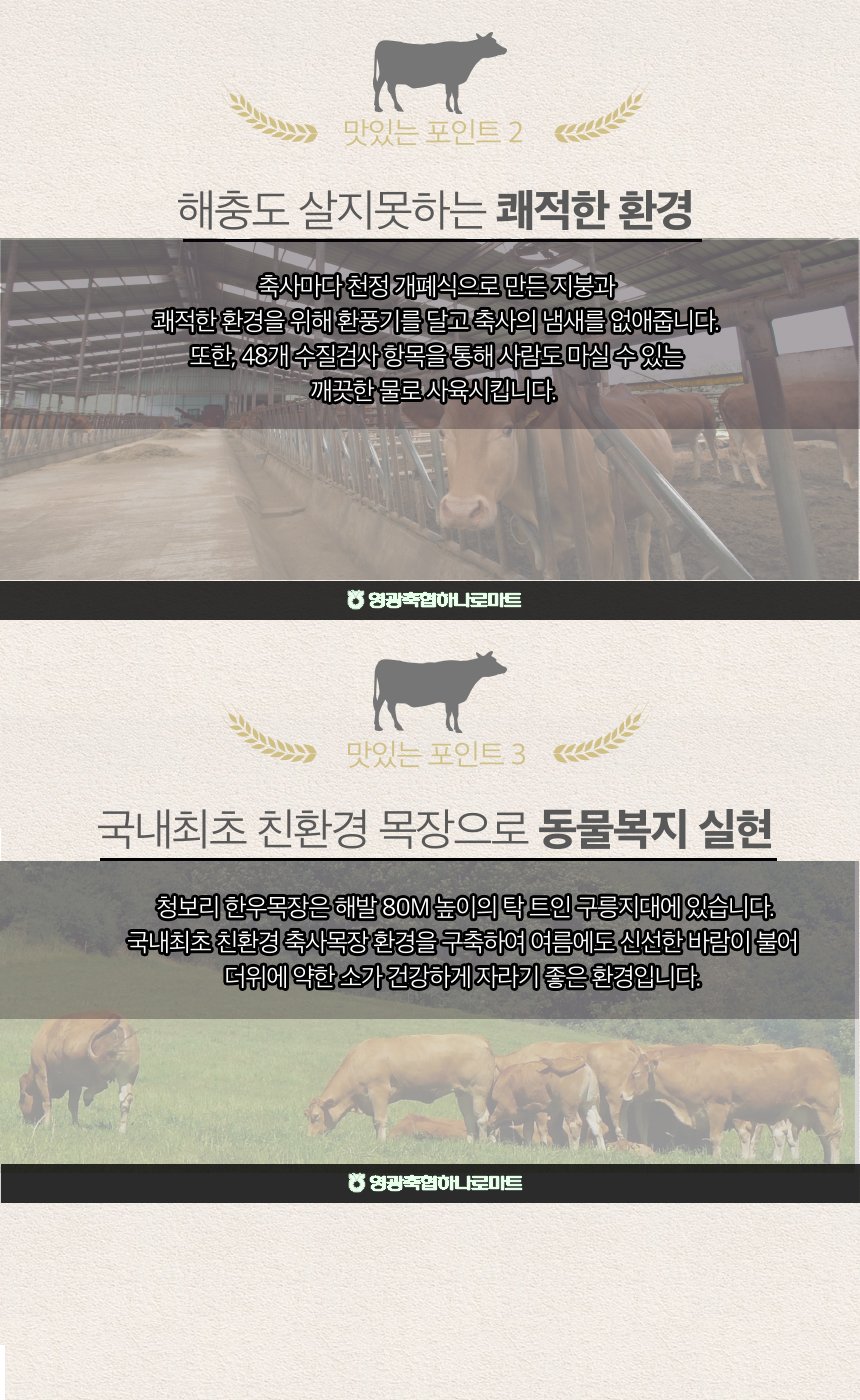 (영광축협) 국내산 1등급 한우 암소 업진살 300g  냉장