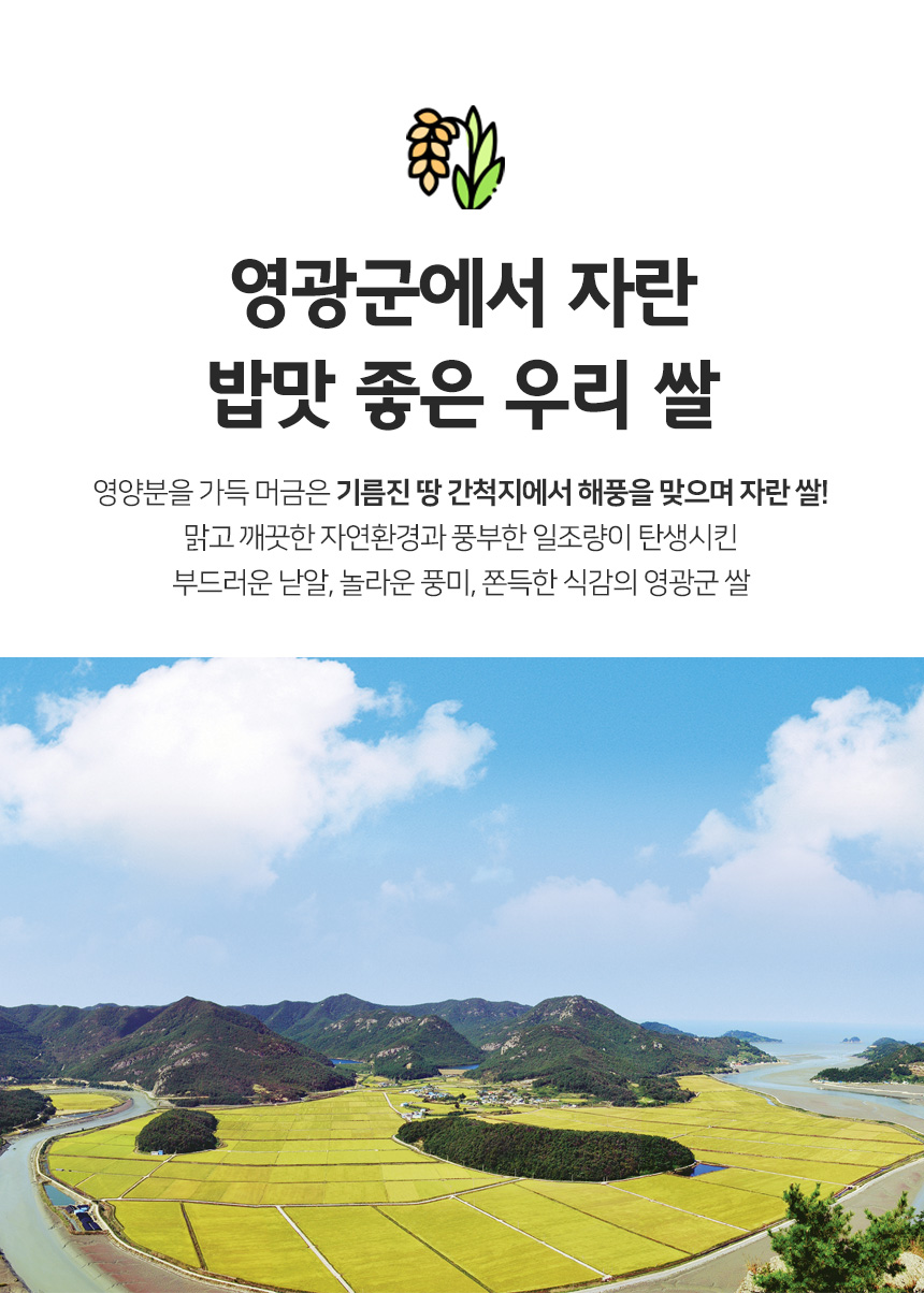(영광군농협) 당일도정 25년 간척지 쌀 굴비골 진상미2호 10kg/20kg