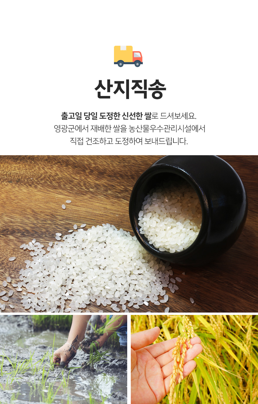 (영광군농협) 당일도정 25년 간척지 쌀 굴비골 진상미2호 5kg (1kg*5ae)