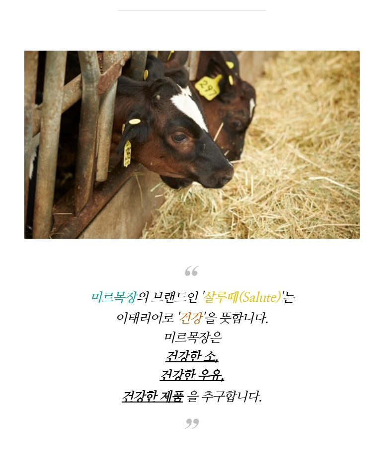 (미르목장) 살루떼 숙성치즈 (체다/고다 ) 100g