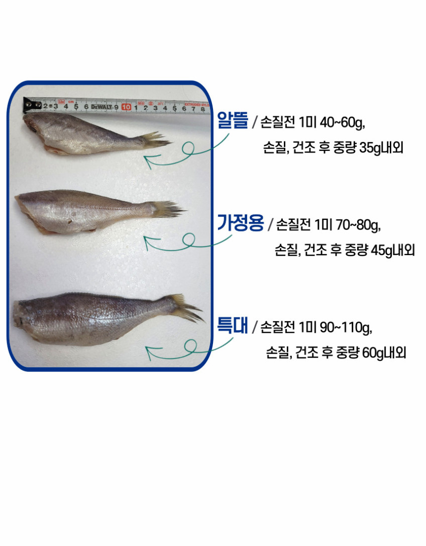 손질 굴비 대가리 내장 비늘제거 영광 법성포 두절 진공 참조기 특대 맘편한 [원산지:국산(전라남도 영광군) 등]