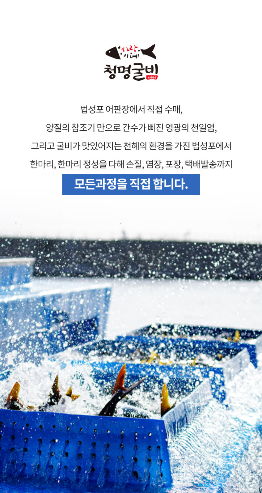 비늘 제거 손질 법성포 영광 굴비 세트 가정용 선물용 제수용 진공포장 참조기 명절고급선물 [원산지:국산(전라남도 영광군)]