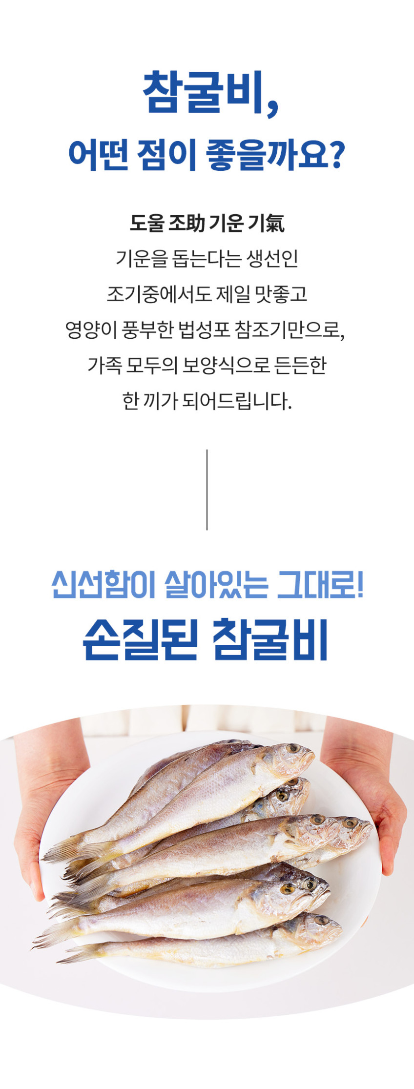 비늘 제거 손질 법성포 영광 굴비 세트 가정용 선물용 제수용 진공포장 참조기 명절고급선물 [원산지:국산(전라남도 영광군)]