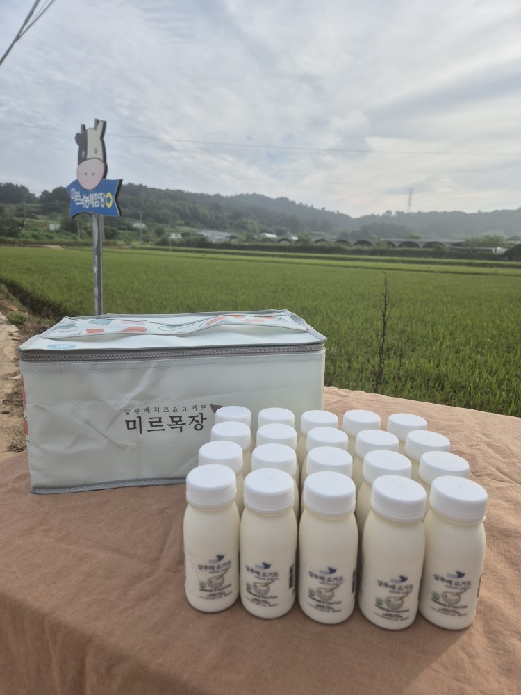 (미르목장) 살루떼 유제품 추석선물세트 1호 (요거트150ml x 20)