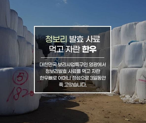 (웰빙푸드) 영광농협 웰빙푸드 청보리 한우 사골곰탕 (100% 국산한우)1000ml *5봉
